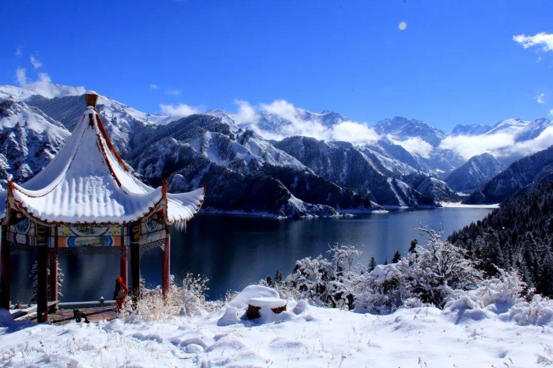 女人常吃葛根粉，美颜又护宫！但疏忽了这“3点”，可能会白吃！